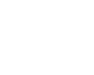 logo-fsa