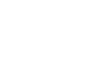 logo-vision
