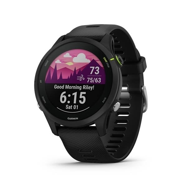 garmin rlt510